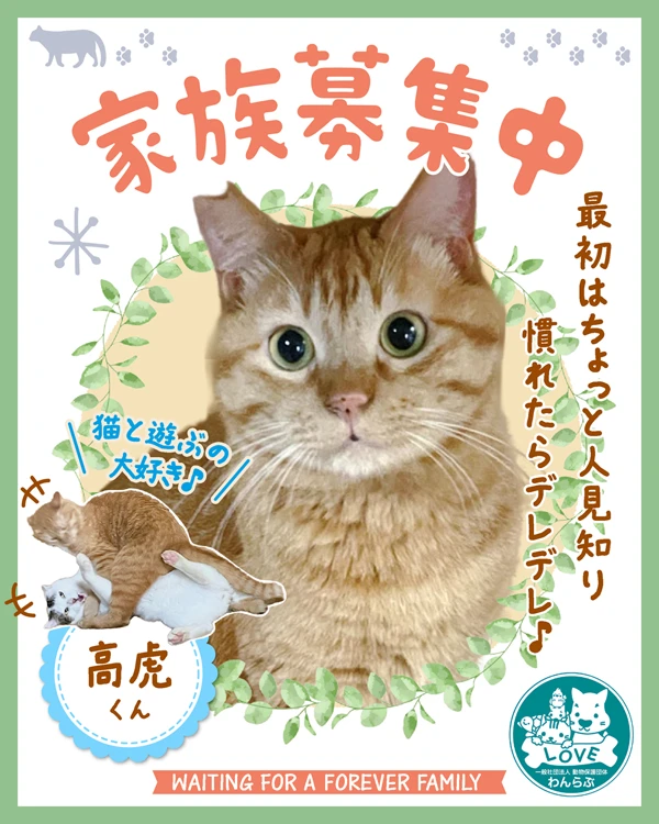 里親募集バナー